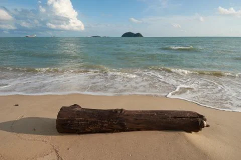 A timber on a beach Stock Photos