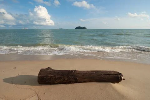 A timber on a beach Stock Photos