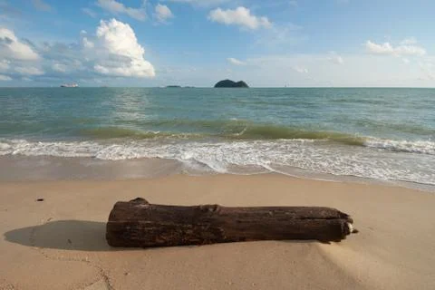 A timber on a beach Stock Photos