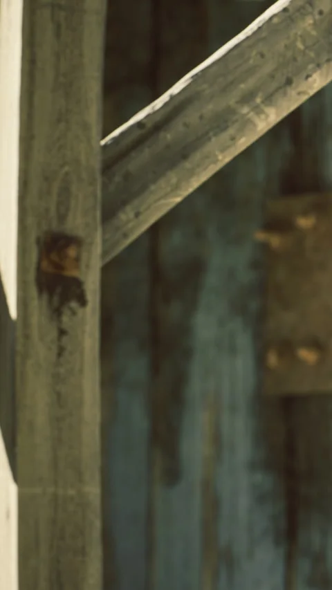 Timber beams create a rustic backdrop for an intriguing scene in an old barn Stock Footage 331840475