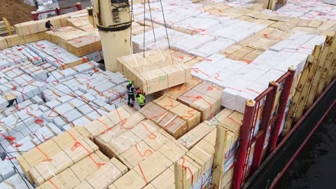Timber Cargo Loading on Freight Ship with Dock Workers and Port Crane Operations Stock Footage 342613375
