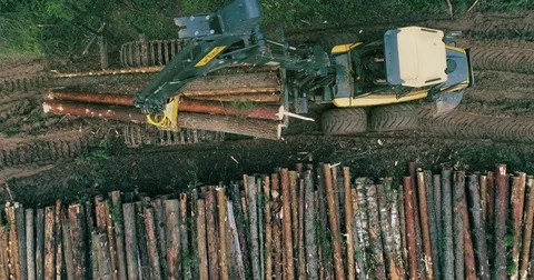 Timber collecting machine is driving through the forest Stock Footage 78833180