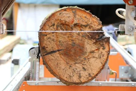 Timber construction in construction industry Stock Photos