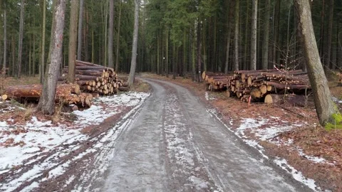 Timber cut and stacked for removal beside a forest road, with snow and ice .. Stock-Footage 263954625