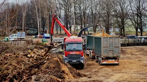 Timber Debris Processing with Heavy Machinery and Trailers, Logging Area, Latvia Stock Footage 305633639