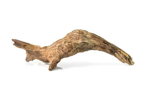 Timber for decoration Stock Photos