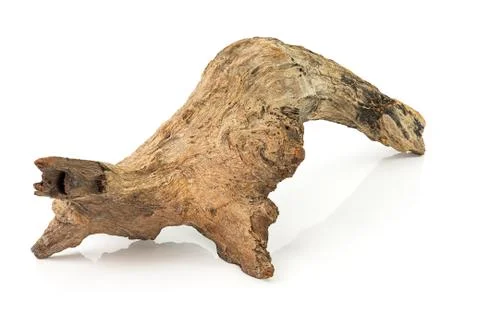 Timber for decoration 스톡 사진