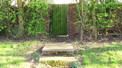 Timber door Stock Footage 57716437