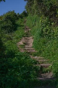 Timber Edged Steps on Coastal Path South West Coast Path Cornwall UK Foto stock