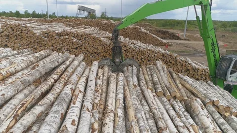 Timber exchange 10 Stock Footage 99197670