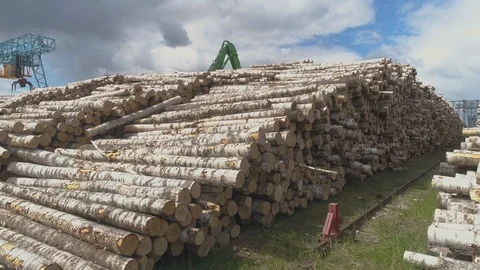 Timber exchange 11 Stock Footage 99197907