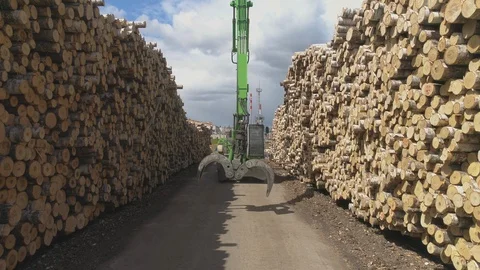 Timber exchange 12 Stock Footage 99198264