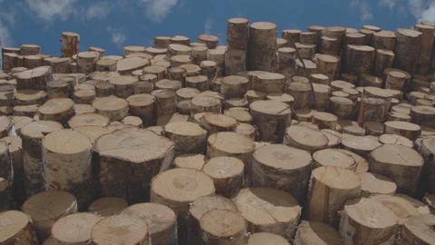 Timber exchange 14 2 Stockbeeldmateriaal 99198478