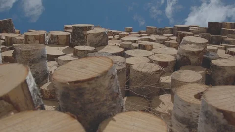 Timber exchange 14 Stock Footage 99198692