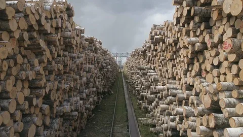 Timber exchange 18 Stock Footage 99199372