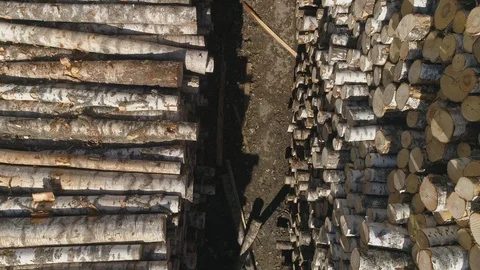 Timber exchange 6 Stockbeeldmateriaal 99196951