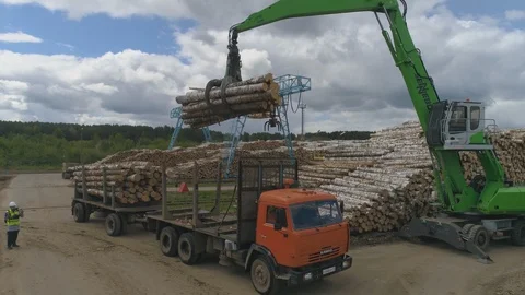 Timber exchange 9 Stock Footage 99197570