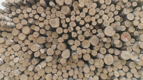 Timber exchange Stock Footage 99199590