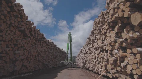 Timber exchange mechanical arm 3 Stockbeeldmateriaal 99193787