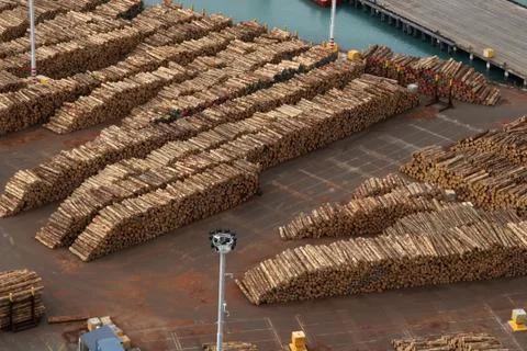 Timber exports Stock Photos