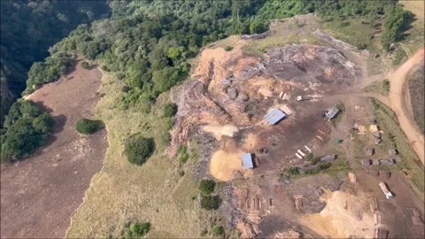 Timber Falls R HD 動画素材 285113457