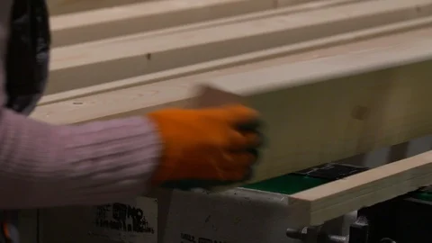 Timber Feed Line. Stock Footage 106863967