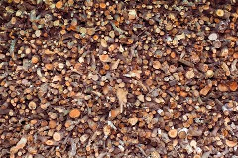 Timber fire logs Stock Photos