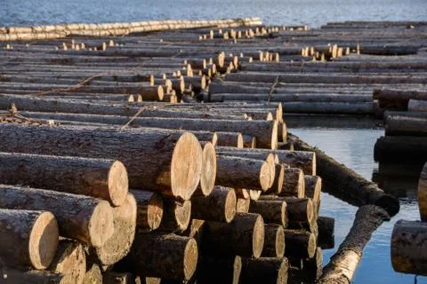Timber floating on the river Stock Photos
