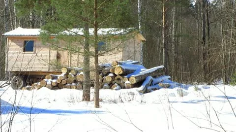 Timber Vídeo Stock 22424710