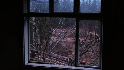 Timber Freight Train with Logs Passing by Seen through a Cabin Window Stock Footage 335098925