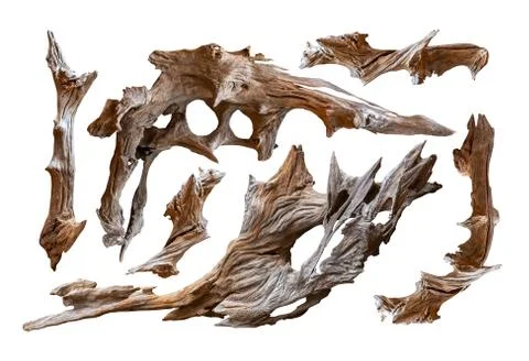 Timber group isolated Stock Photos