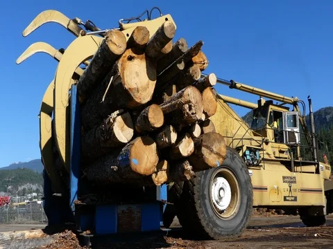 Timber handler truck lifting up wood pile Stock Footage 80510880