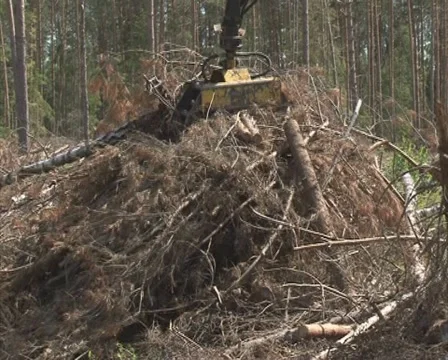 Timber handling truck Stock Footage 10742795