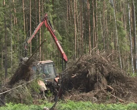 Timber handling truck Stock Footage 10742798