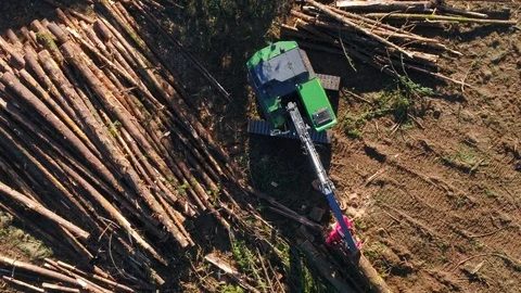 Timber harvester Stock Footage 97750574