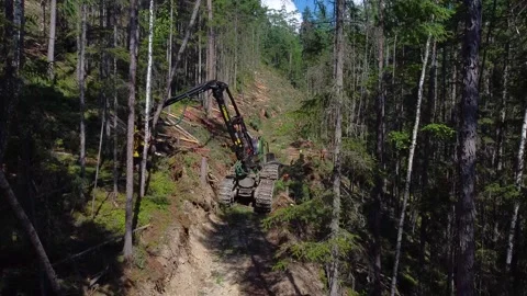 Timber harvesting Video stock 166091574