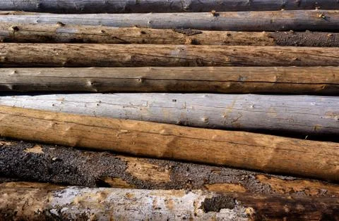 Timber harvesting Stock Photos