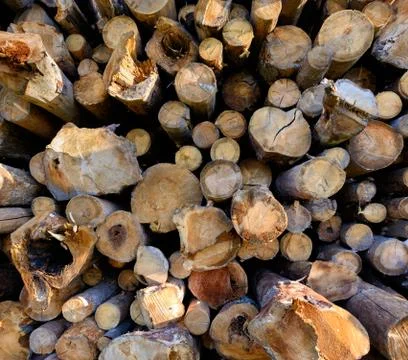 Timber harvesting Stock Photos