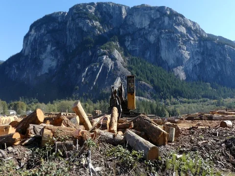 Timber industrial lifter mountain landscape Stock Footage 80499961