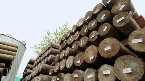 Timber industry. Close up view of A stack of logs. A part of the trunk of a tree Stock Footage 155969915