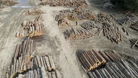 Timber Industry Stock-Footage 332907432
