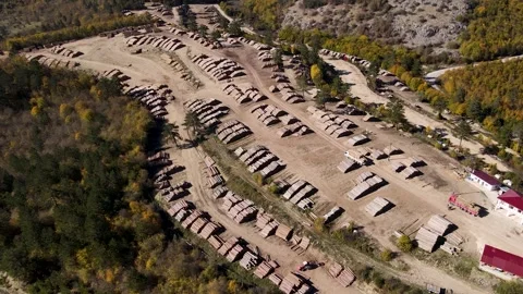 Timber Industry 스톡 동영상 333469063