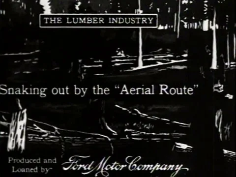 The timber industry grows and develops in 1920. 動画素材 75115832