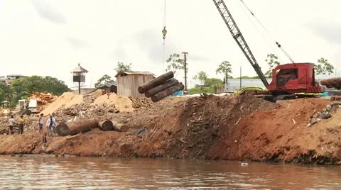 Timber Industry In Rainforest Stock Footage 10792483