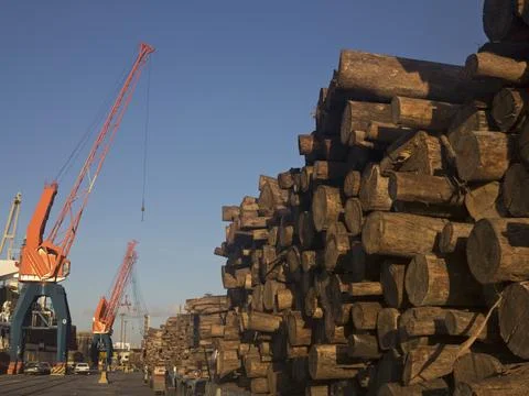Timber loaded for export at the harbour in Montevideo, Uruguay, South America Stock Photos