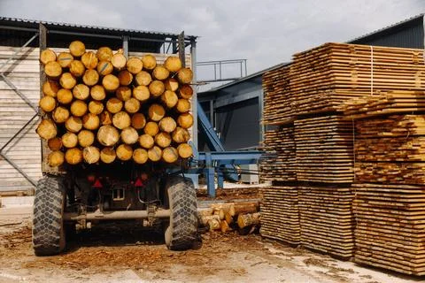 Timber loader carrying freshly cut logs beside tall stacks of rough sawn lumber Foto stock