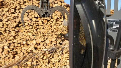Timber loader driver unloads timber into a stack Stockbeeldmateriaal 294057955