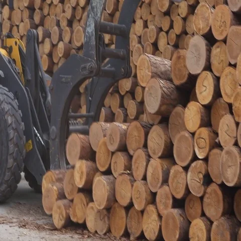 Timber loader Video stock 69556403