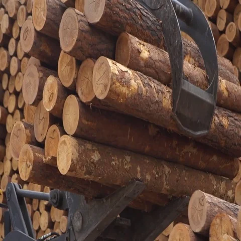 Timber loader Stock Footage 69556681