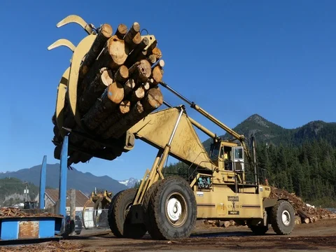 Timber loader handling wood trunks nature Stock Footage 80509503